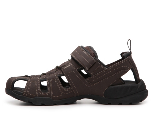 teva forebay review