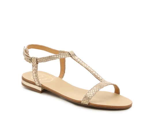 jack rogers dsw