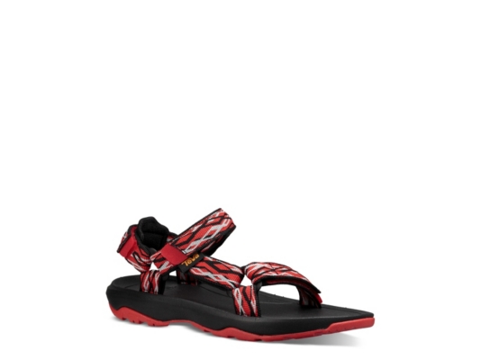 teva dsw