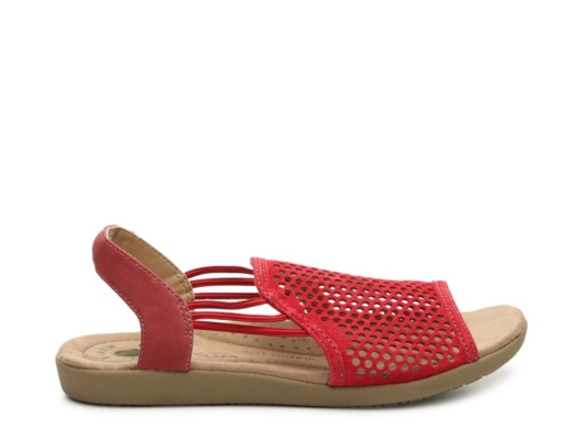 earth sandals dsw