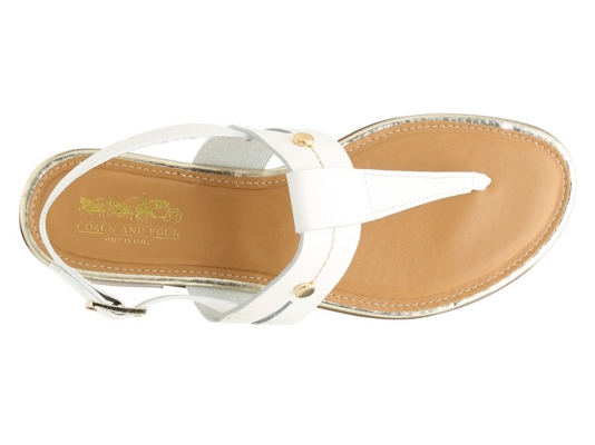 coach flip flops dsw