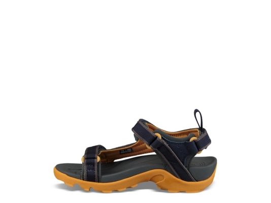 dsw tevas