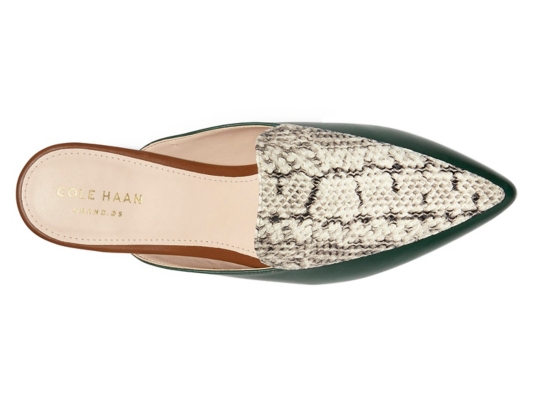 cole haan dsw womens