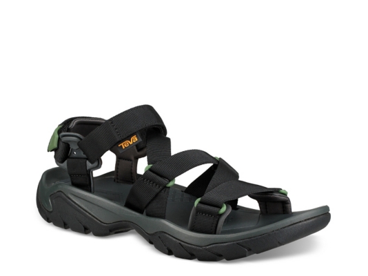 teva dsw