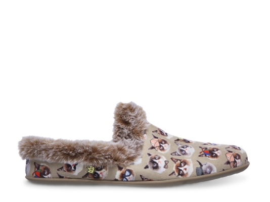 dsw bobs cat shoes